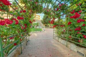 poza telefon Hotel Mena Palace