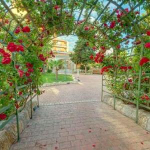 poza Hotel Mena Palace