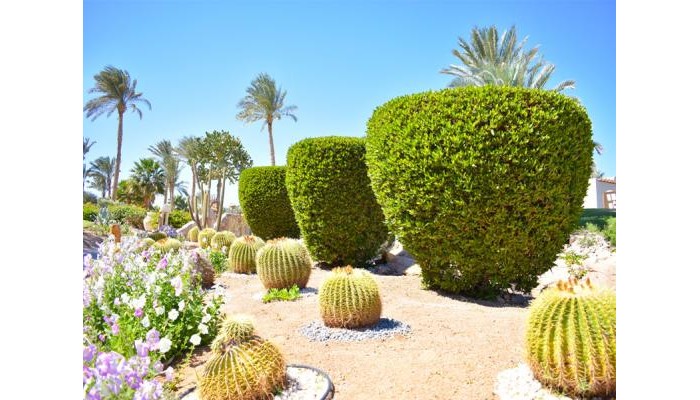 Parrotel Beach Resort poza 6
