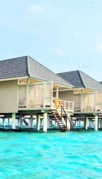 Maldive