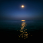poza <p><i class='fa fa-plus-circle text-success'></i>&nbsp;Marea la înserat</p>